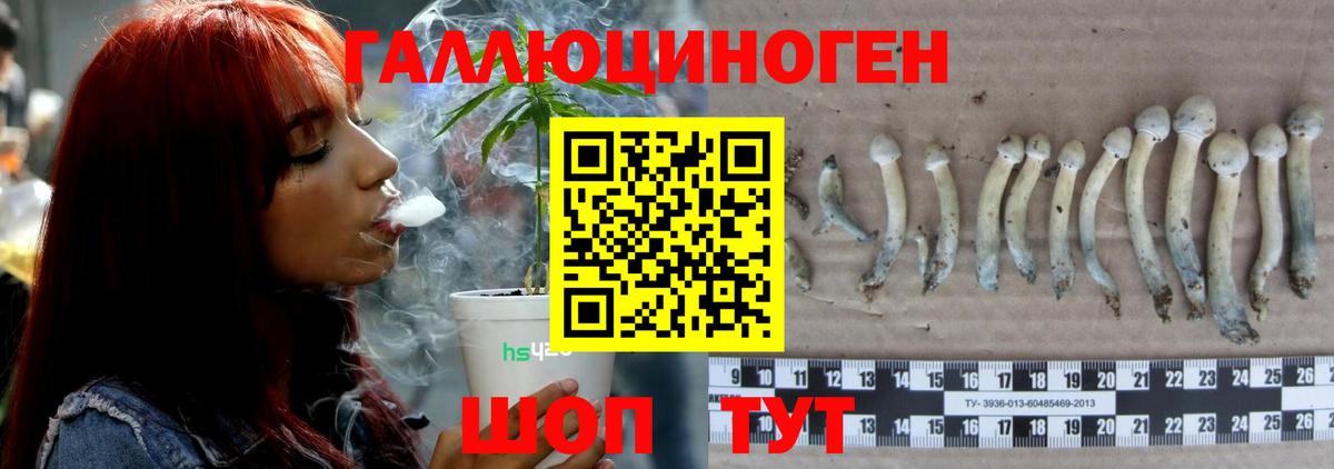 Чусовой  купить   Вход с VPN  Галлюциногенные грибы Psilocybine cubensis 